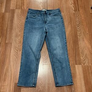 J Jill Smooth Fit Cropped Jeans Sz 10
